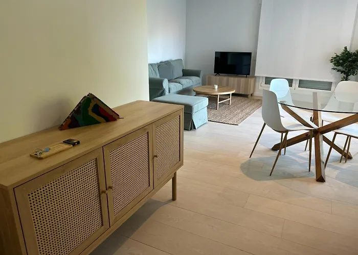 公寓 Galiciaguesthome-rosalia De Castro-silgar 桑亨霍